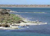 Pen�nsula de Vald�s (Chubut).