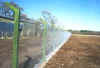 Haga clic aqu� para ampliar la IMAGEN