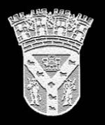 Escudo del Partido de Rojas.